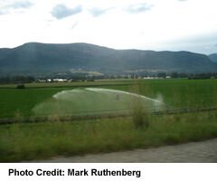 Agricultural Land Being Irrigated, near Enderby