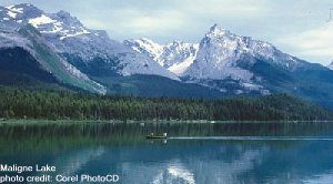 Maligne Lake, Jasper photo
