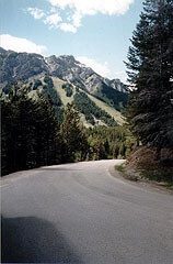 Mt Norquay ski runs in the summer, as seen from Mt Norquay Rd
