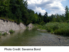 Eroded riverbank in the Rouge River Valley