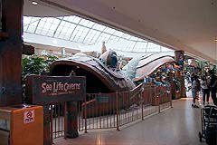 Edmonton S West Edmonton Mall