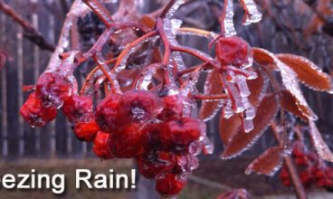 NS: Special weather statement in effect: rain, freezing rain, ice pellets!