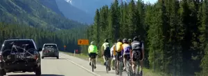 Cycling In A Pack-sliver