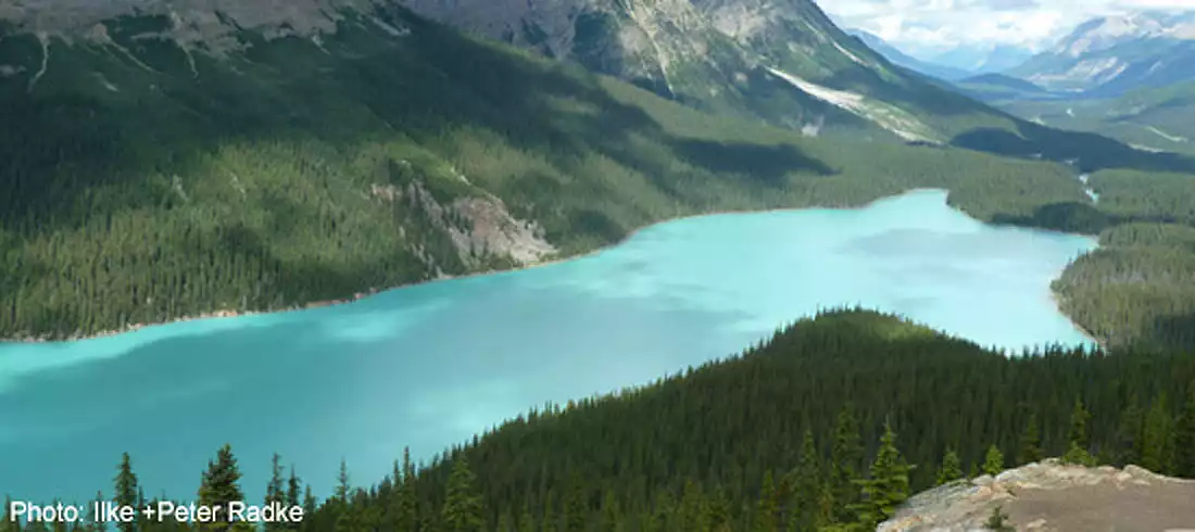 Rockies-Banff National Park-Peyto Lake lookout-sliver