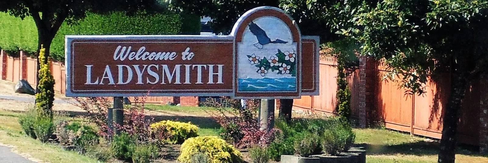 Ladysmith Welcome Sign -sliver